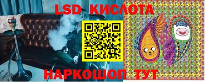 прущие грибы Жуковский