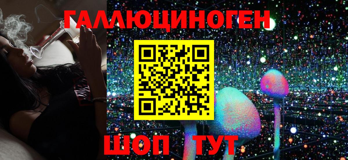 Михайловка  Галлюциногенные грибы Psilocybe  Галлюциногенные грибы ЛСД  Вход с VPN 